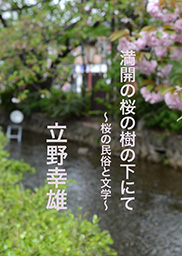 満開の桜の樹の下にて